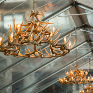 Antler Chandelier
