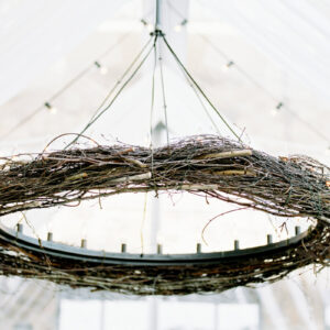Iron Bird Nest Chandelier