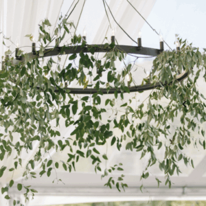 Iron Ring Chandelier with Lighting