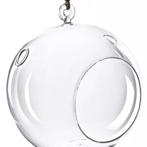 Large Hanging Glass Globe