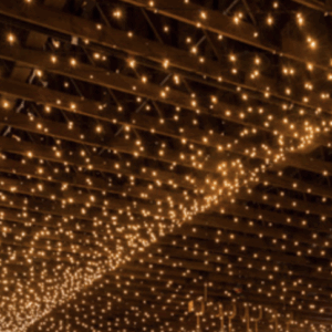 Mini Brown LED String Lights