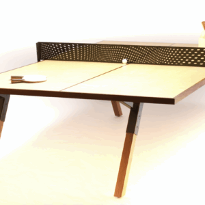 Ping Pong Table