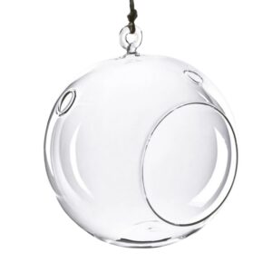 Vault Product Image