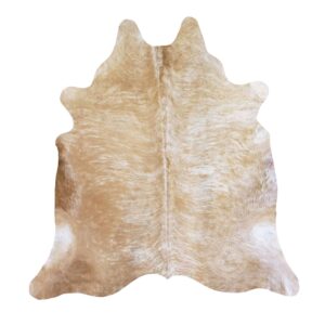 Vault Product Image