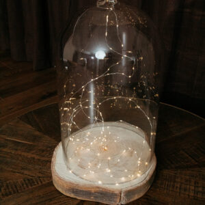 Dome Fairy Cloche L E401 (11)