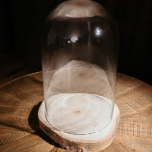 Dome Fairy Cloche L E401 (7)