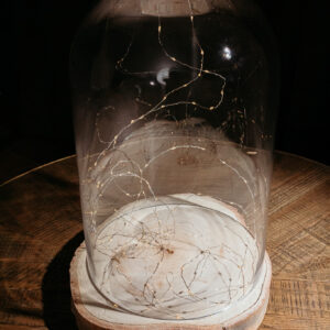 Dome Fairy Cloche L E401 (8)