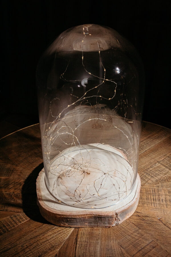 Large Glass Dome Cloche – Event Rentals – The Vault – Salt Lake City ...