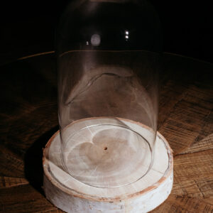 Dome Fairy Cloche M E403 (4)