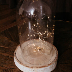 Dome Fairy Cloche M E403 (7)