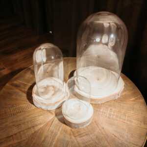 Dome Fairy Cloche Set (2)