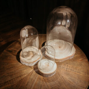 Dome Fairy Cloche Set (3)