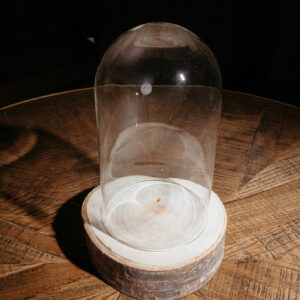 Dome Fairy Cloche Small E403 (3)