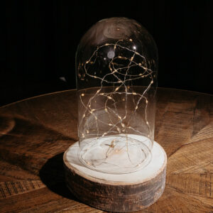 Dome Fairy Cloche Small E403 (8)