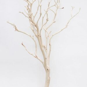 Props Manzanita Tree Branch