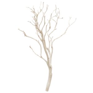 Vault Product Image
