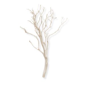 Vaulteventrentals (50)