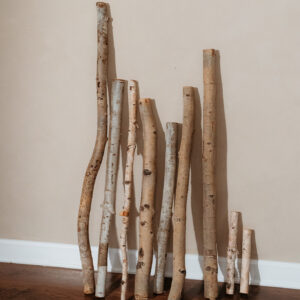 Aspen Logs E632