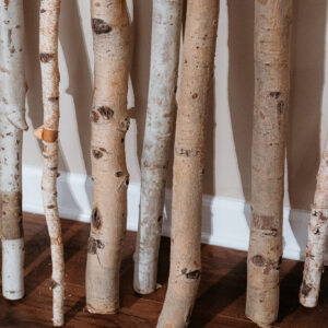 Aspen Logs E632