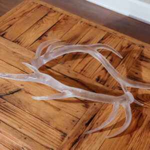Decor Prop Acrylic Antler E630 (4)