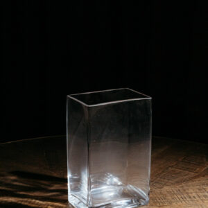 Rectangle Glass Vase 6x4x9.75 G642 (3)