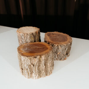 Cluster Stands Elm E679