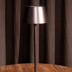 Sleek Modern Brown Table Lamp