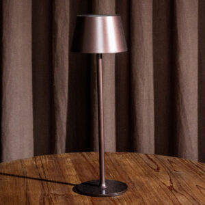 Sleek Brown Table Lamp (1)