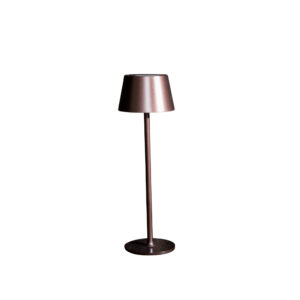 Sleek Modern Brown Table Lamp